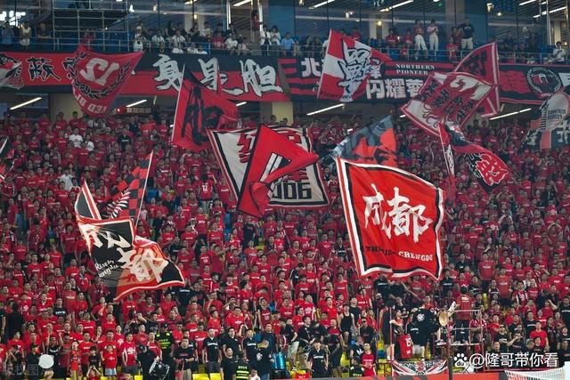 精彩瞬间回放，球迷尖叫声不断